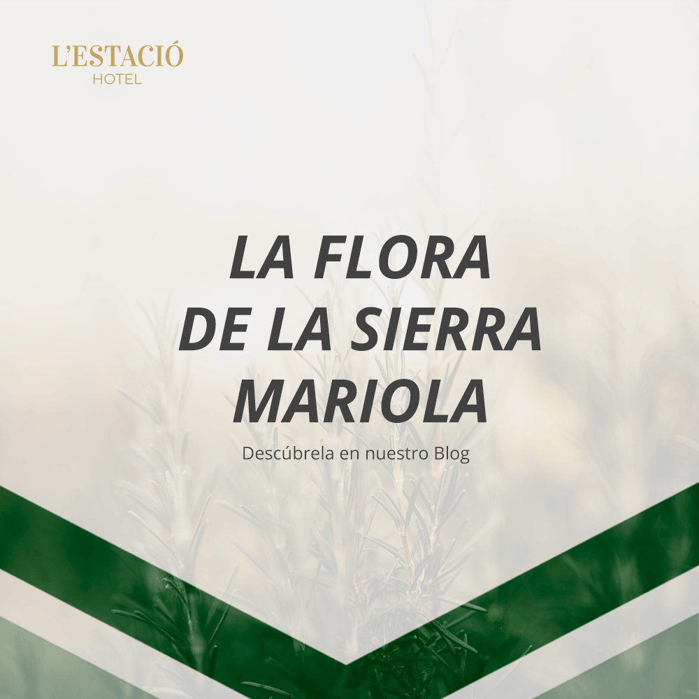 La Flora de la Sierra Mariola