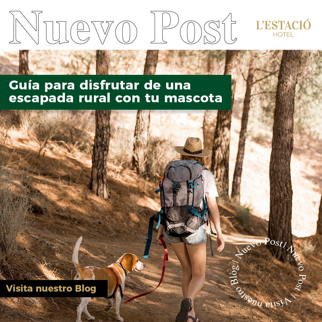Guía para disfrutar de una escapada rural con tu mascota Guía para disfrutar de una escapada rural con tu mascota